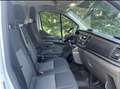 Ford Transit Custom Transit Custom 300 L2H2 LKW VA Trail Weiß - thumbnail 1