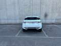 Land Rover Range Rover Evoque Range Rover Evoque I 2011 5p 2.0 si4 Dynamic auto Bianco - thumbnail 5