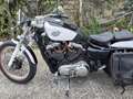 Harley-Davidson 1200 Custom Bianco - thumbnail 5