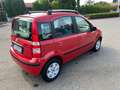 Fiat Panda 1.2 Alessi - thumbnail 7