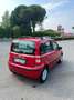 Fiat Panda 1.2 Alessi - thumbnail 6
