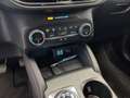Ford Kuga Kuga 1.5 ecoblue ST-Line 2wd 120cv auto Grigio - thumbnail 12