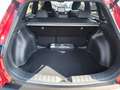 Toyota Corolla Cross Hybrid FWD Team Deutschland Rot - thumbnail 11