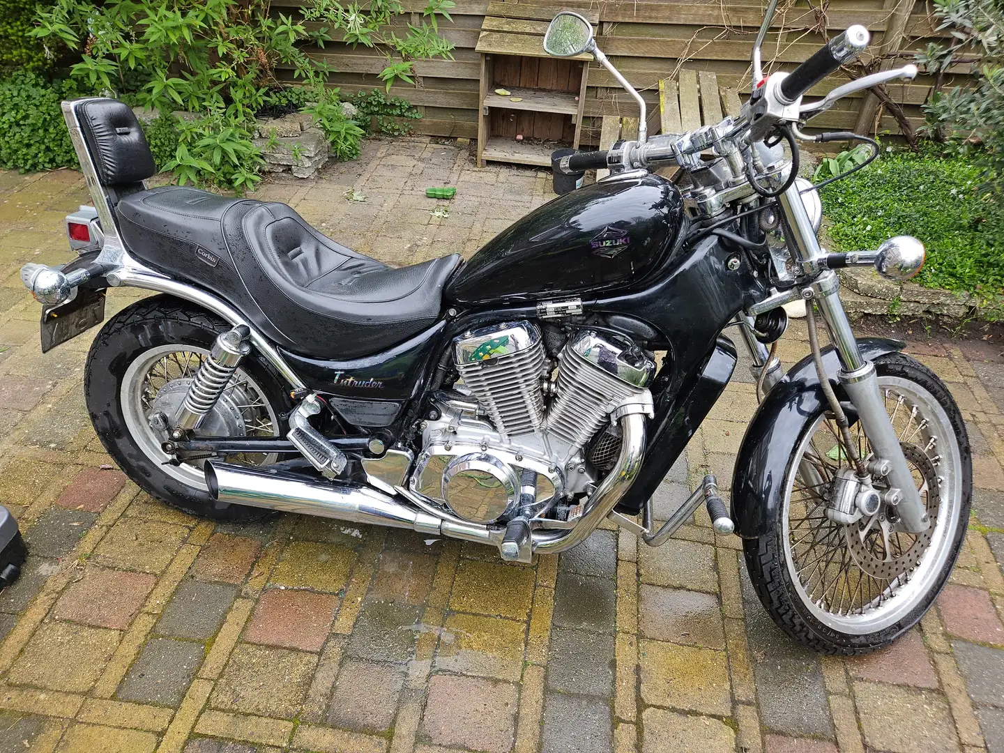 Suzuki VS 600 Negro - 2