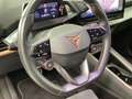 CUPRA Born 360 ALLWETTER LM19 PRIVACY SITZHZ Grau - thumbnail 9