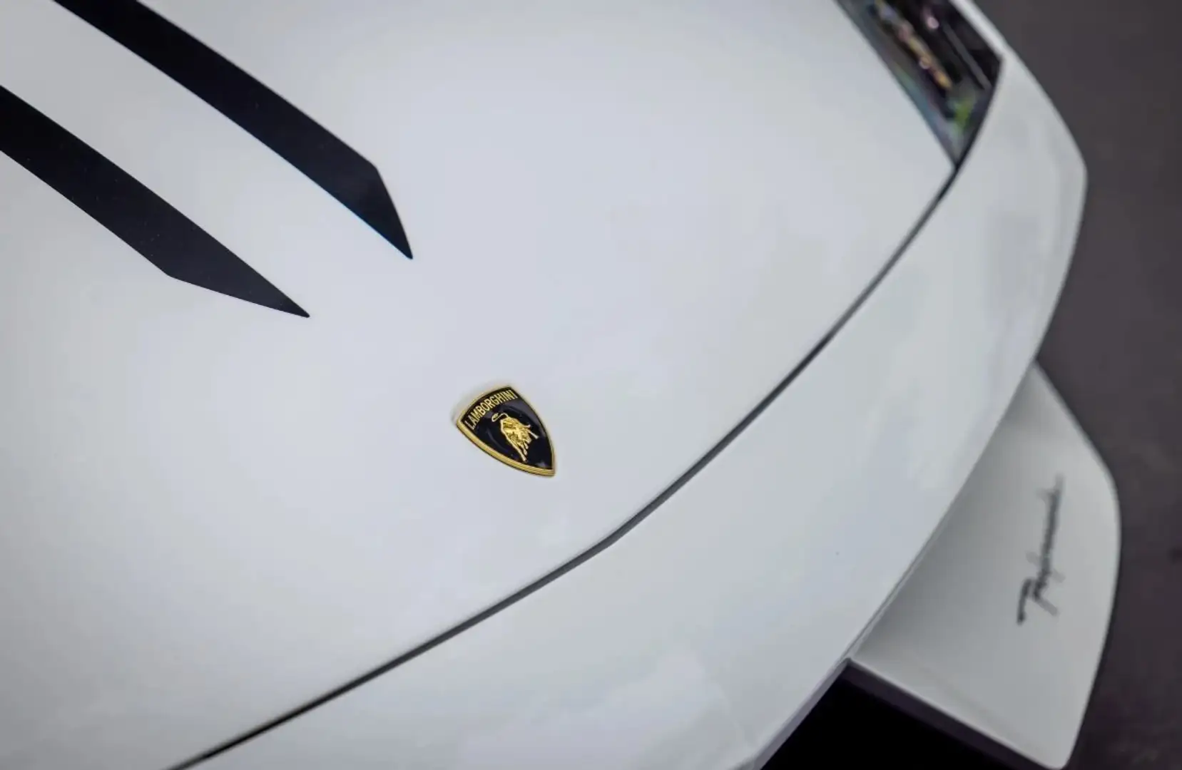 Lamborghini Gallardo LP570-4 Spyder Performante Blanco - 1