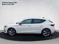 CUPRA Leon 1.5 TSI Grau - thumbnail 2