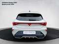 CUPRA Leon 1.5 TSI Grau - thumbnail 5