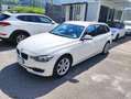 BMW 320 Serie 3 Touring 320d Touring xdrive Business auto Weiß - thumbnail 3