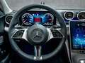 Mercedes-Benz C 300 e 4MATIC *RFK*LKH*Pano*UPE 78.000 brutto* Noir - thumbnail 9