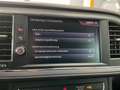 SEAT Leon ST 1.6 TDI Style DSG Blau - thumbnail 22