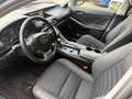 Lexus IS 300 300h Hybrid Business Line AUTOMAAT| CAMERA| AIRCO/ Grau - thumbnail 10