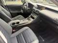 Lexus IS 300 300h Hybrid Business Line AUTOMAAT| CAMERA| AIRCO/ Grau - thumbnail 12