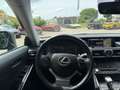 Lexus IS 300 300h Hybrid Business Line AUTOMAAT| CAMERA| AIRCO/ Grau - thumbnail 15
