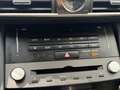 Lexus IS 300 300h Hybrid Business Line AUTOMAAT| CAMERA| AIRCO/ Grau - thumbnail 21