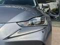 Lexus IS 300 300h Hybrid Business Line AUTOMAAT| CAMERA| AIRCO/ Grau - thumbnail 29