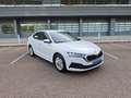 Skoda Octavia 2.0TDI Ambition 110kW Blanco - thumbnail 18