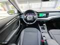 Skoda Octavia 2.0TDI Ambition 110kW Blanco - thumbnail 24