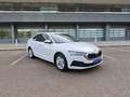 Skoda Octavia 2.0TDI Ambition 110kW Blanco - thumbnail 19