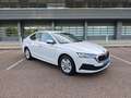 Skoda Octavia 2.0TDI Ambition 110kW Blanco - thumbnail 17