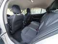 Skoda Octavia 2.0TDI Ambition 110kW Blanco - thumbnail 30