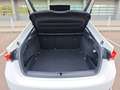 Skoda Octavia 2.0TDI Ambition 110kW Blanco - thumbnail 13