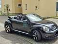 Volkswagen Beetle The Cabriolet 1.2 TSI DSG (BlueMotion Tech) Design - thumbnail 2
