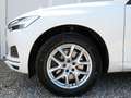 Volvo XC60 Momentum 2WD Aut. LED/NAVI/VIRTUAL 190PS Blanco - thumbnail 8