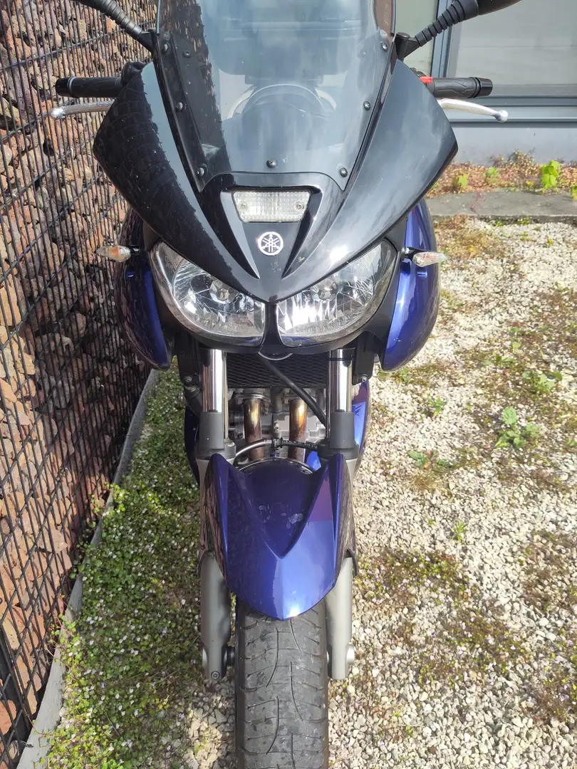 Yamaha TDM 900 Albastru - 1