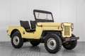 Oldtimer Willys CJ3 B M38A1 Yellow - thumbnail 6