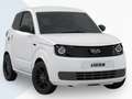 Ligier Myli I.DEAL mit neuem Diesel Motor Noir - thumbnail 8