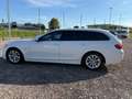 BMW 520 d Touring Business aut. Blanc - thumbnail 10
