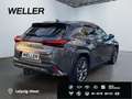 Lexus UX 250h F SPORT Design *Bi-LED*AHK*ACC*SHZ*RCam* Grijs - thumbnail 19