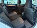 Skoda Octavia Combi 1.2 TSI Greentech Ambition Businessline NAVI Weiß - thumbnail 19