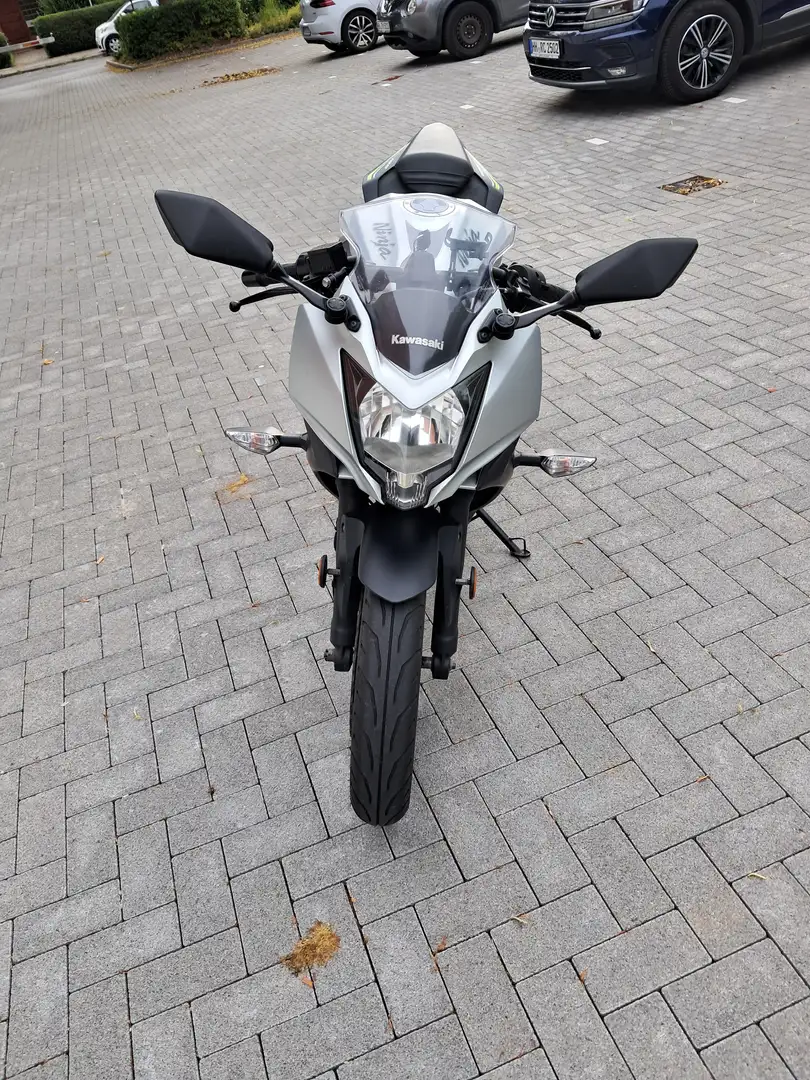 Kawasaki Ninja 125 Grau - 2