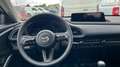 Mazda CX-30 2025 2.5 e-SKYACTIV G MHEV 140CV 6MT FWD PRIME LIN Alb - thumbnail 14