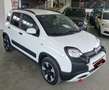 Fiat Panda Panda 1.0 firefly hybrid Cross s&s 70cv 5p.ti Bianco - thumbnail 1