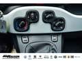 Fiat Panda MY25 Pandina Hybrid 1.0 GSE TEMPOMAT PDC KLIMA Zwart - thumbnail 21