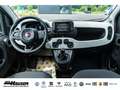 Fiat Panda MY25 Pandina Hybrid 1.0 GSE TEMPOMAT PDC KLIMA Zwart - thumbnail 12