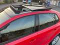 Volkswagen Polo Polo V 2009 5p 1.2 Comfortline 70cv Rosso - thumbnail 4