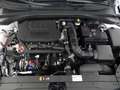 Kia Ceed SW / cee'd SW ceed SW 1,5 TGDI Silber 48V DCT + STYLE-Paket *... Weiß - thumbnail 19