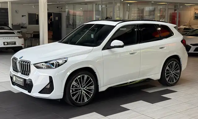 BMW X1 view 2