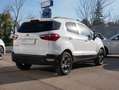 Ford EcoSport 1.5 tdci Plus s&s 100cv Bianco - thumbnail 4