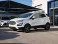 Ford EcoSport 1.5 tdci Plus s&s 100cv Bianco - thumbnail 1