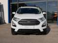 Ford EcoSport 1.5 tdci Plus s&s 100cv Bianco - thumbnail 2