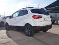 Ford EcoSport 1.5 tdci Plus s&s 100cv Bianco - thumbnail 6