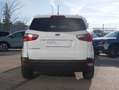 Ford EcoSport 1.5 tdci Plus s&s 100cv Bianco - thumbnail 5