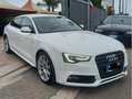 Audi A5 2.0 TDI 177cv sportback s line Bianco - thumbnail 1