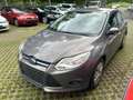 Ford Focus Lim. Trend Marrone - thumbnail 3