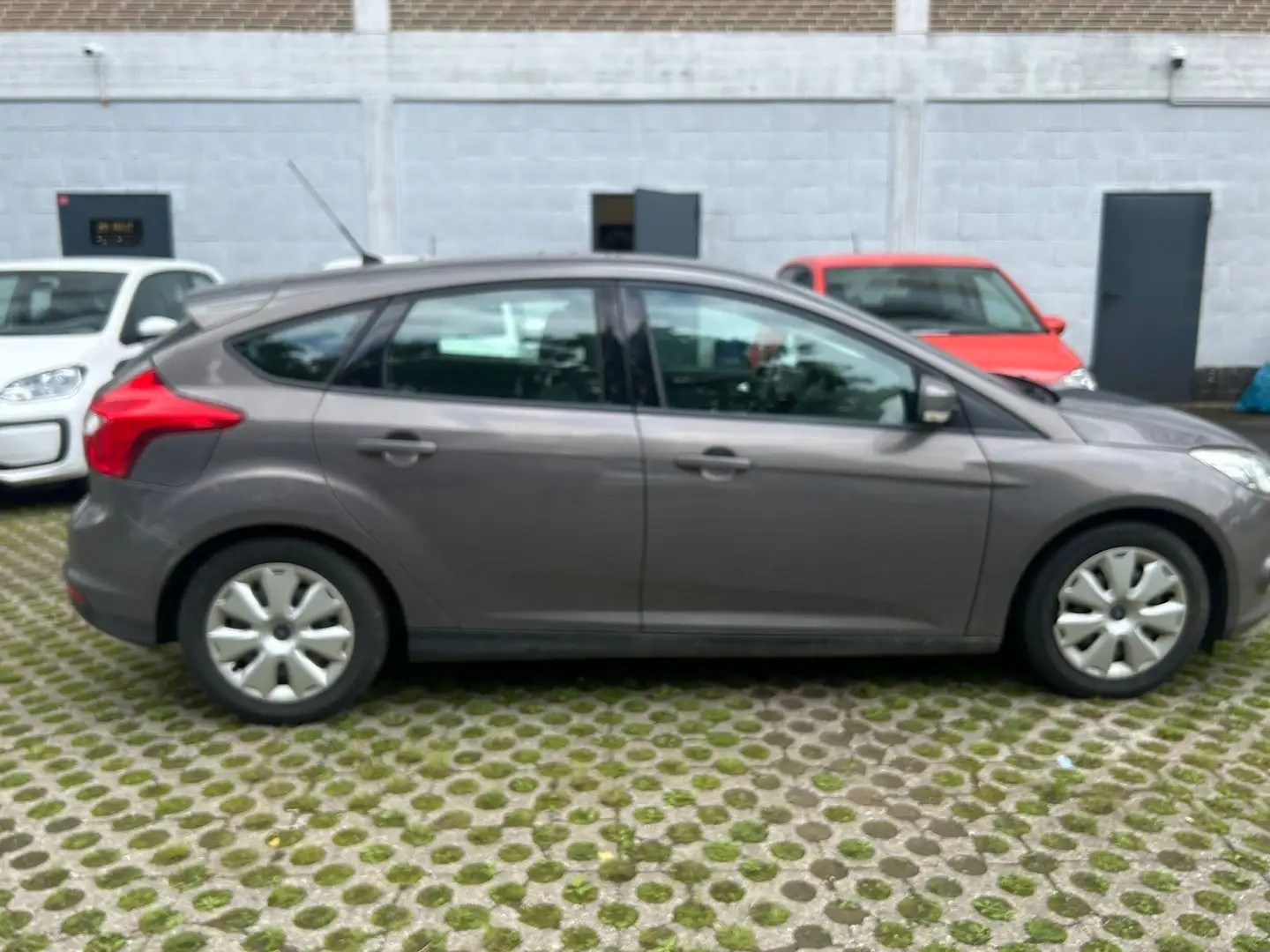 Ford Focus Lim. Trend Marrone - 1